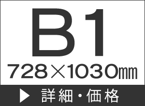 B1(7281030mm)